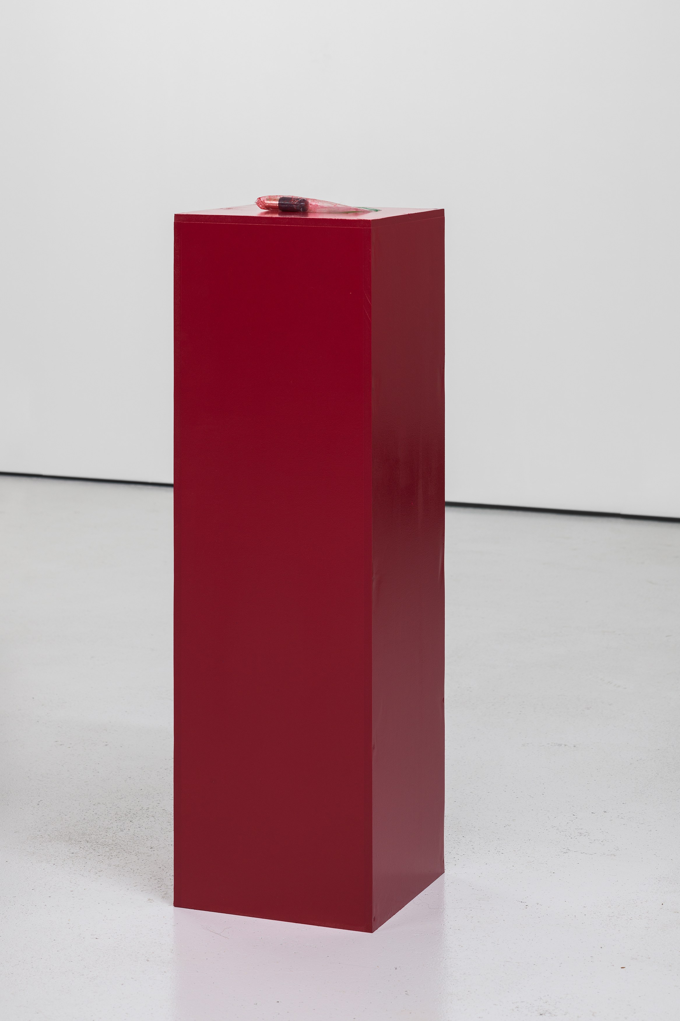 Lizzi Bougatsos, Stage Exit at Galerie Molitor, photo 17
