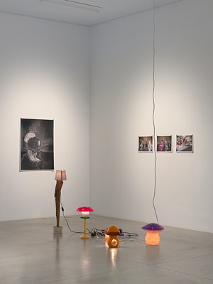 Image 10 of 24