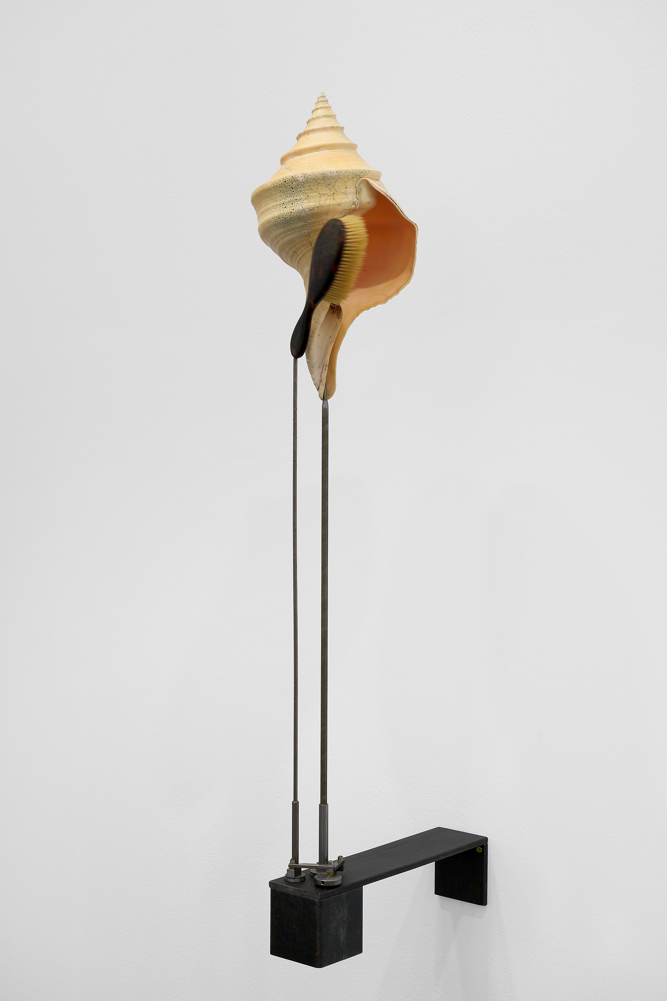 Rebecca Horn, Concert of Sighs at Galerie Thomas Schulte, photo 23