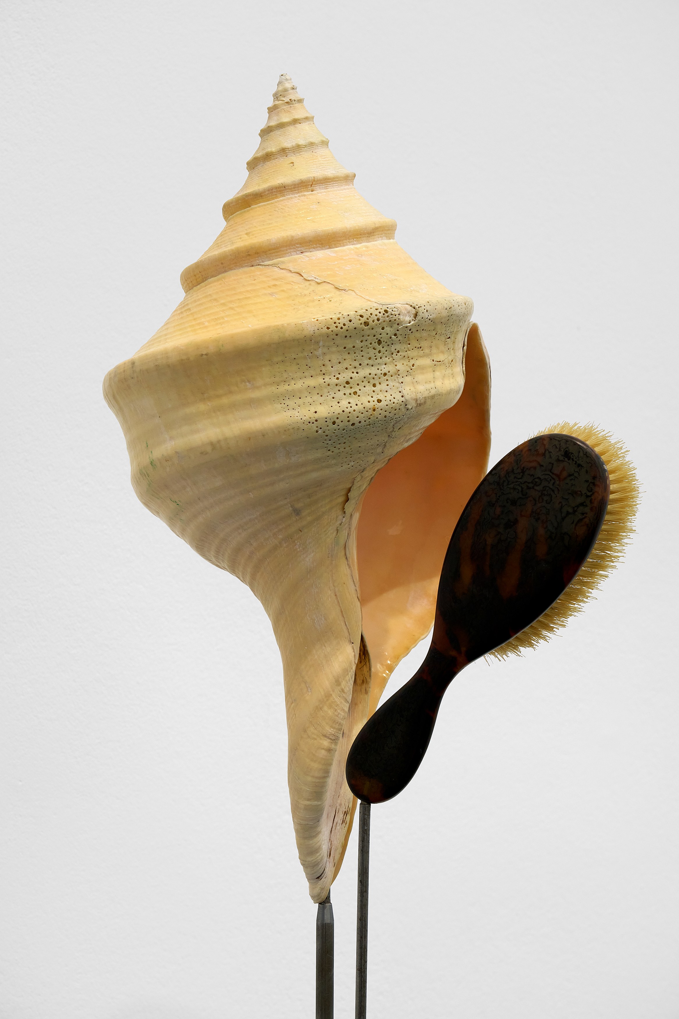 Rebecca Horn, Concert of Sighs at Galerie Thomas Schulte, photo 26