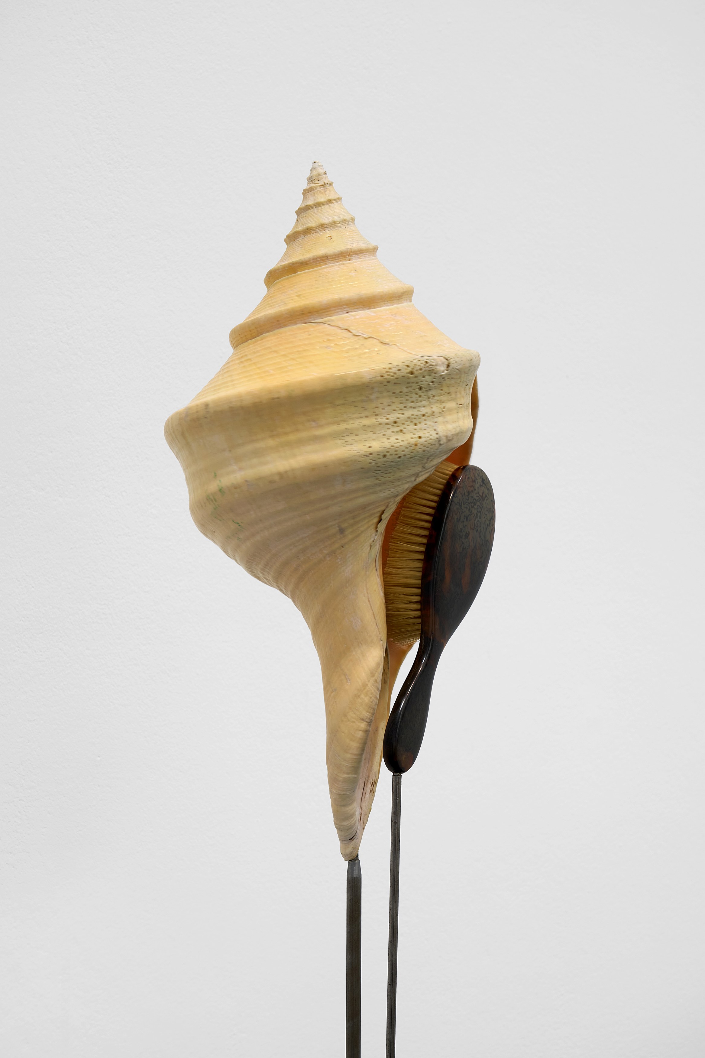 Rebecca Horn, Concert of Sighs at Galerie Thomas Schulte, photo 25