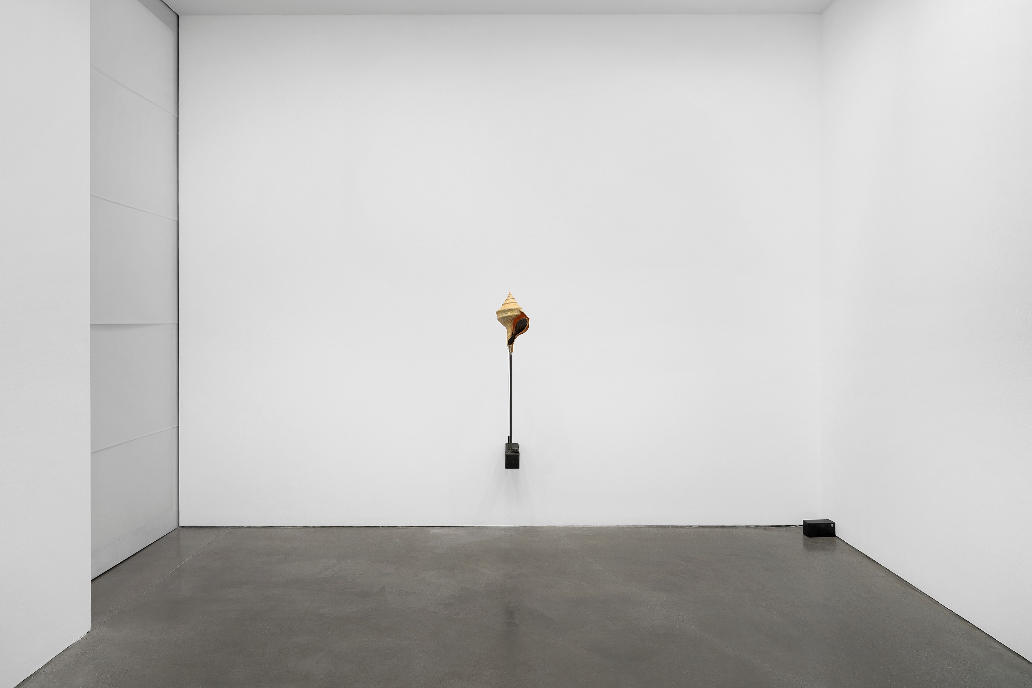 Rebecca Horn, Concert of Sighs at Galerie Thomas Schulte, photo 4