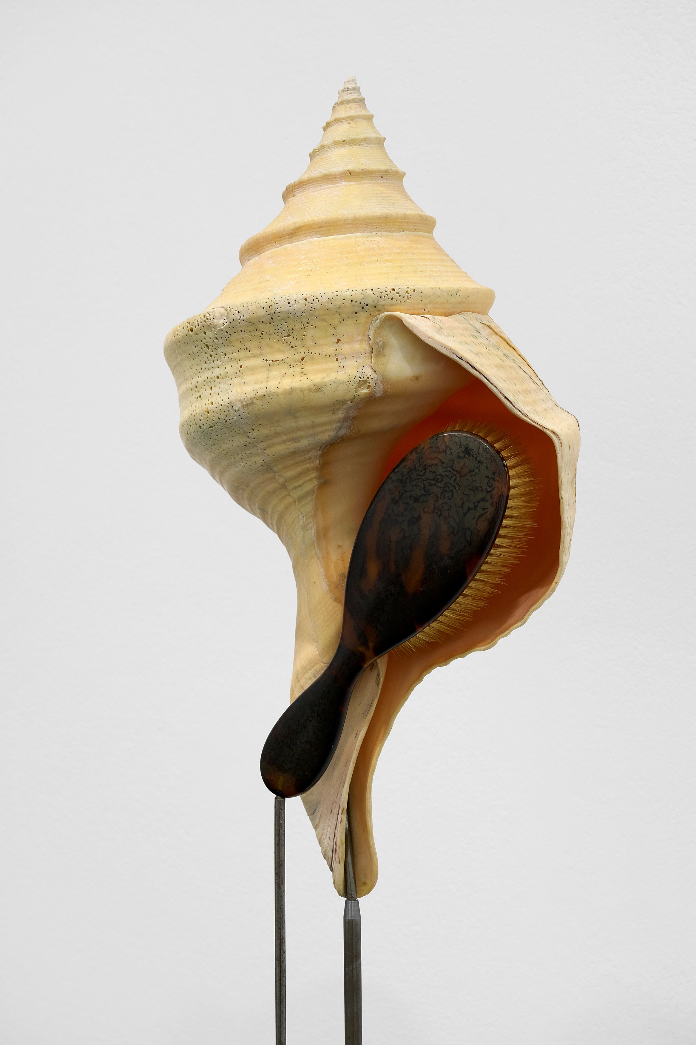 Rebecca Horn, Concert of Sighs at Galerie Thomas Schulte, photo 27