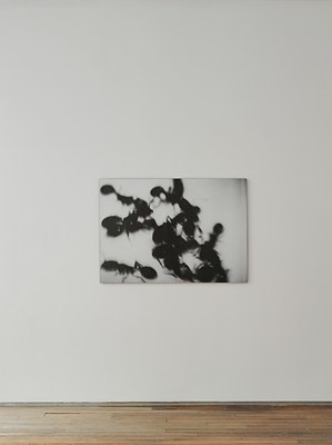 Image 10 of 17