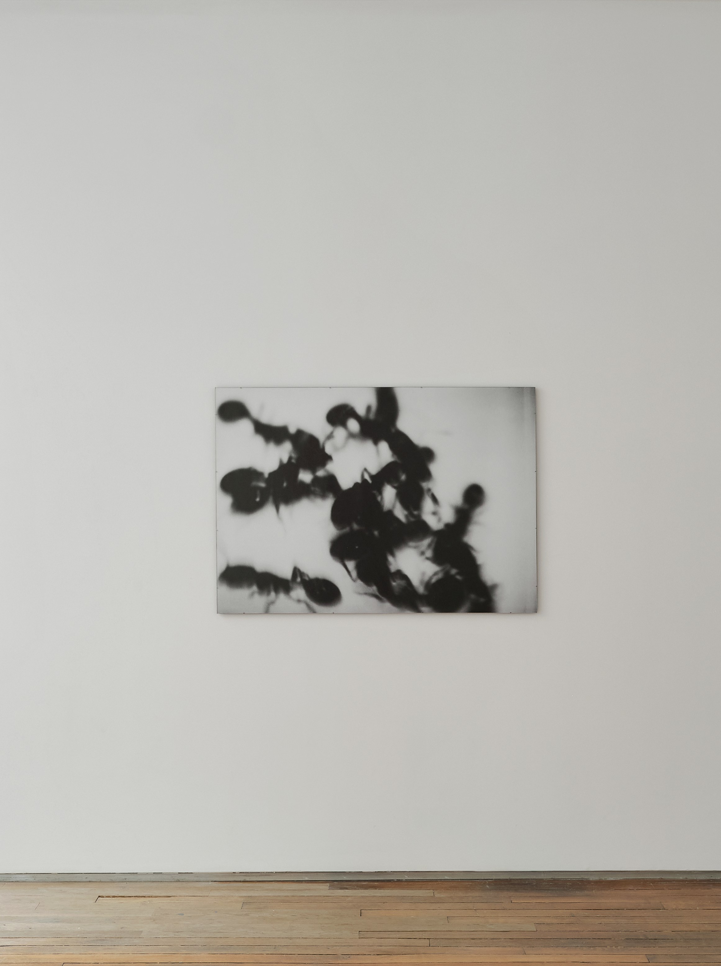 Kobby Adi, Nina Porter, Carriers and Manifestations at Petrine, photo 10