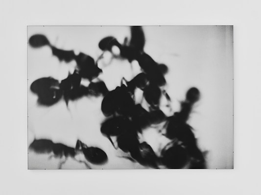 Image 11 of 17