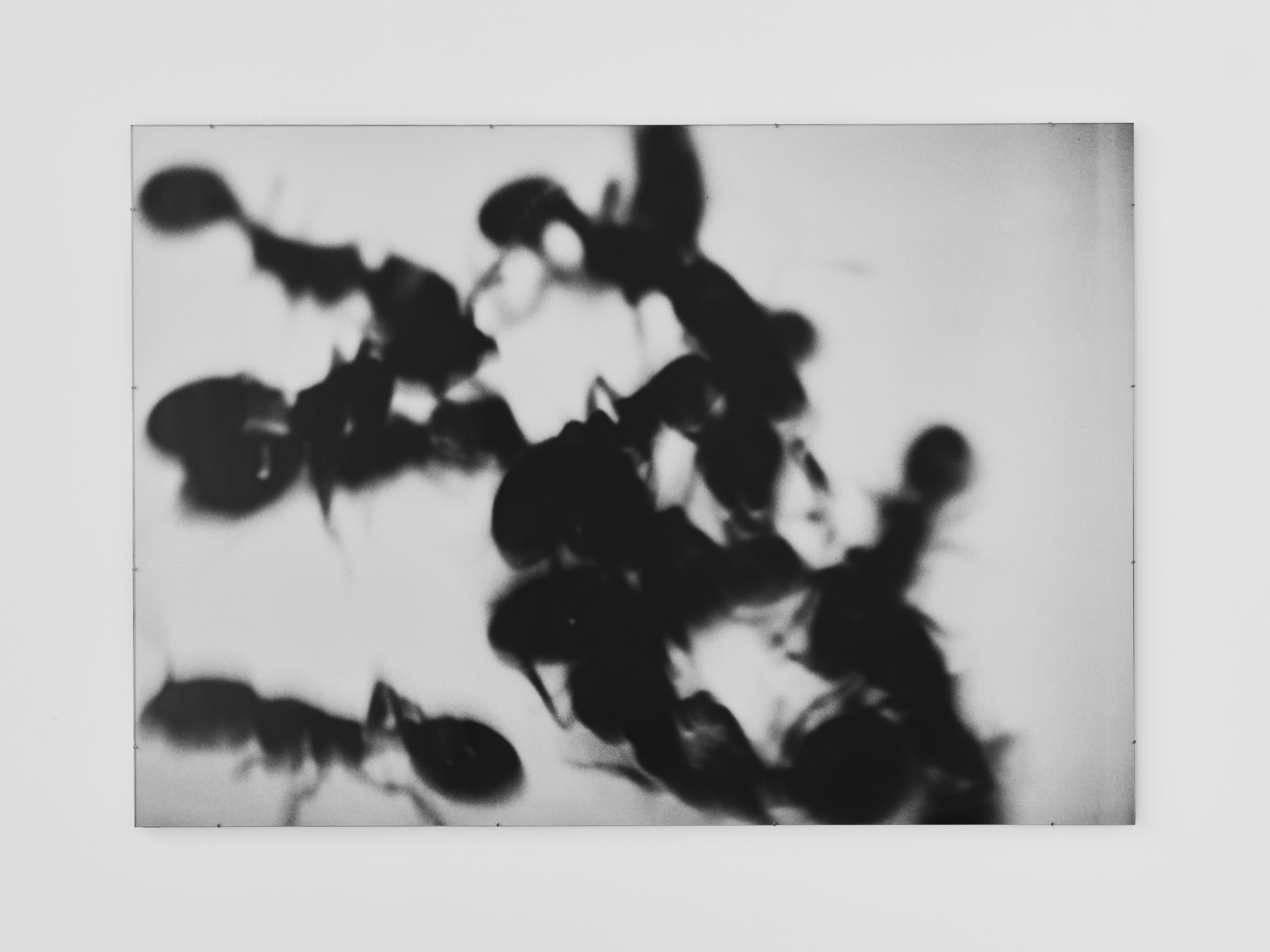 Kobby Adi, Nina Porter, Carriers and Manifestations at Petrine, photo 11