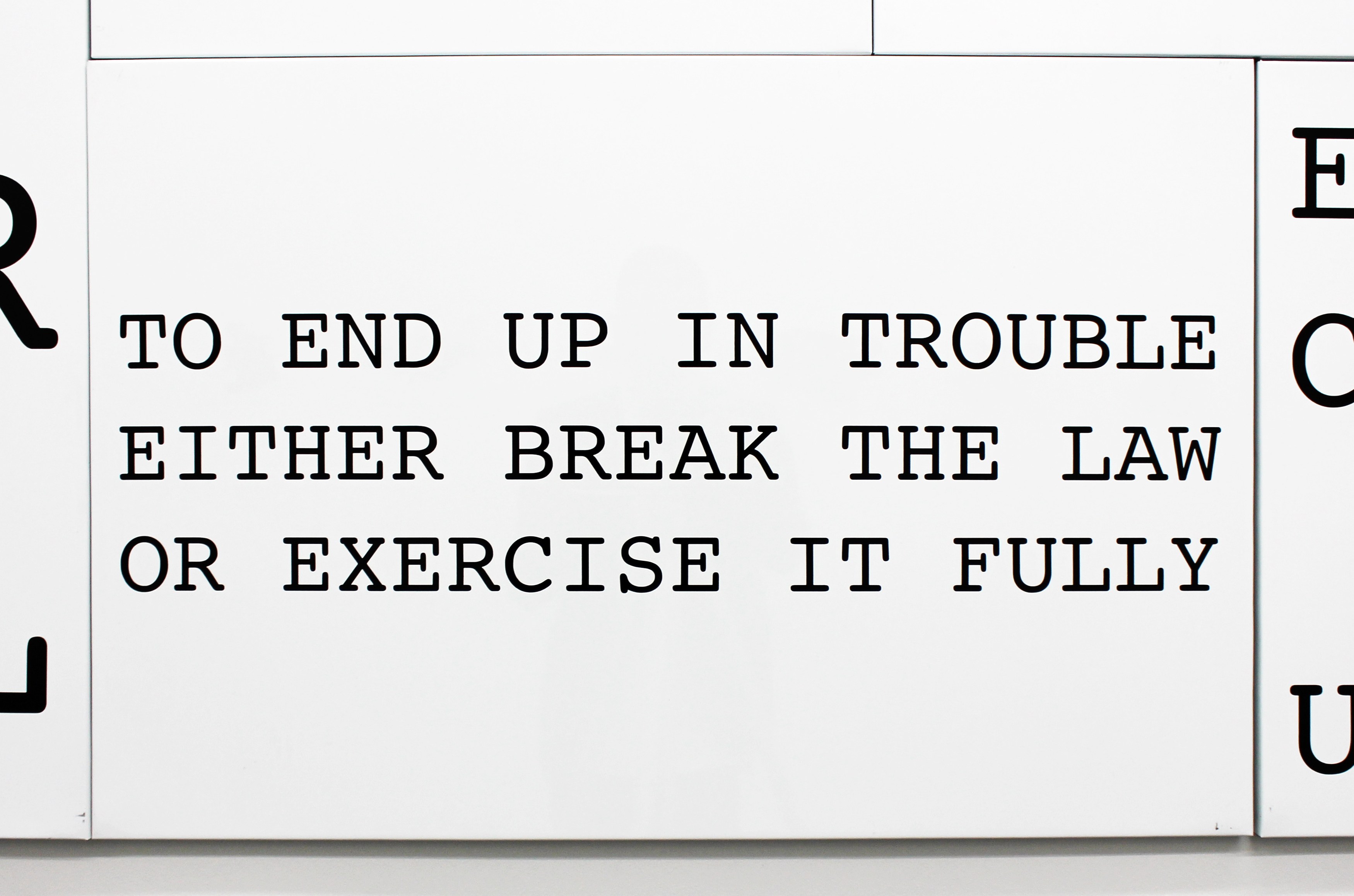 Peter Fend, <span style="font-family: courier, monospace; font-style: normal;">REBELS ARE<br>REASONABLE</span> at Maxwell Graham, photo 26