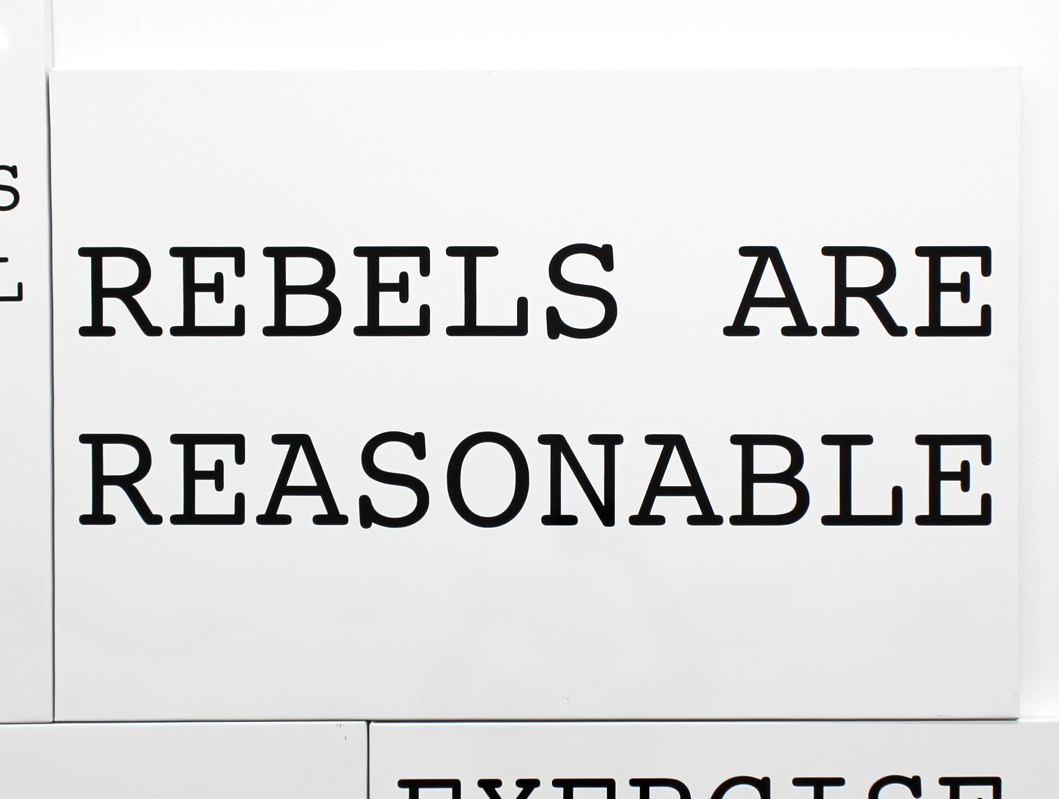 Peter Fend, <span style="font-family: courier, monospace; font-style: normal;">REBELS ARE<br>REASONABLE</span> at Maxwell Graham, photo 27