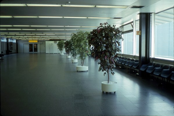 Image 12 of 17