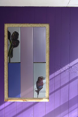 Image 52 of 57