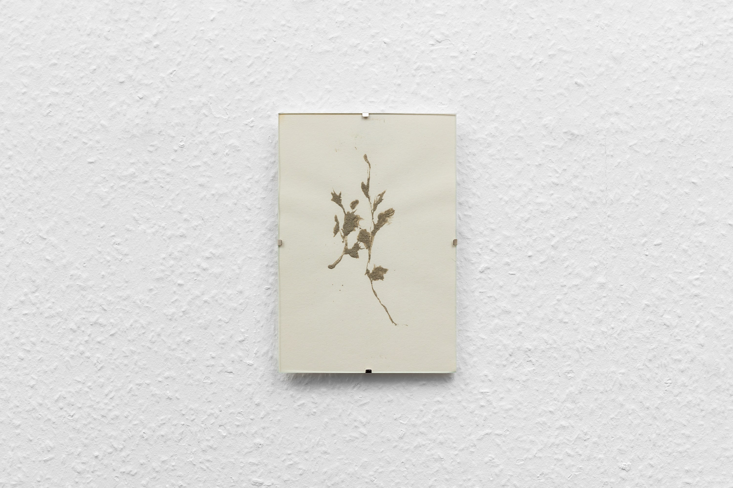 Mariam Abashidze, Milk Composition at A. Squire, photo 21