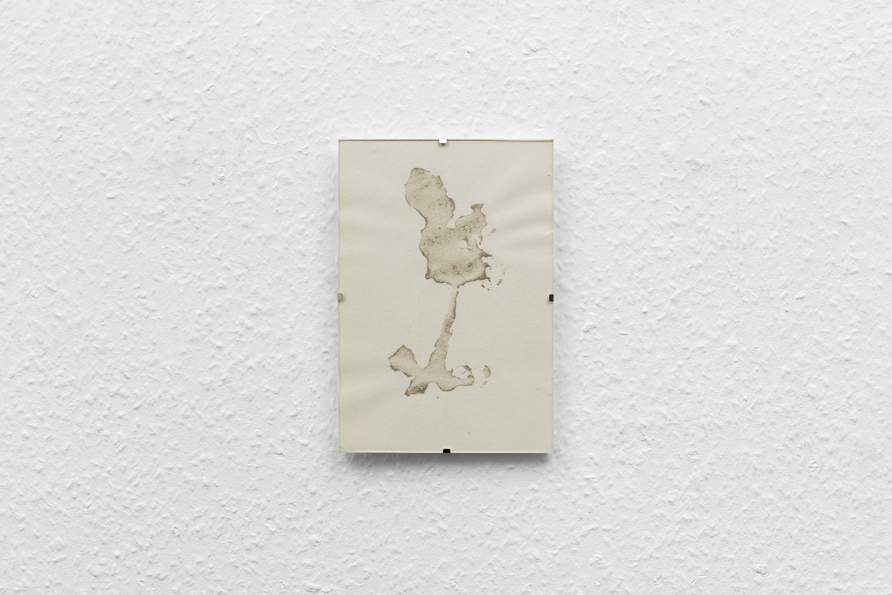 Mariam Abashidze, Milk Composition at A. Squire, photo 22