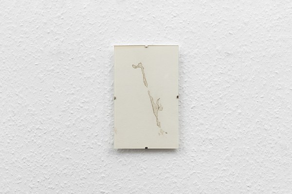 Image 25 of 25