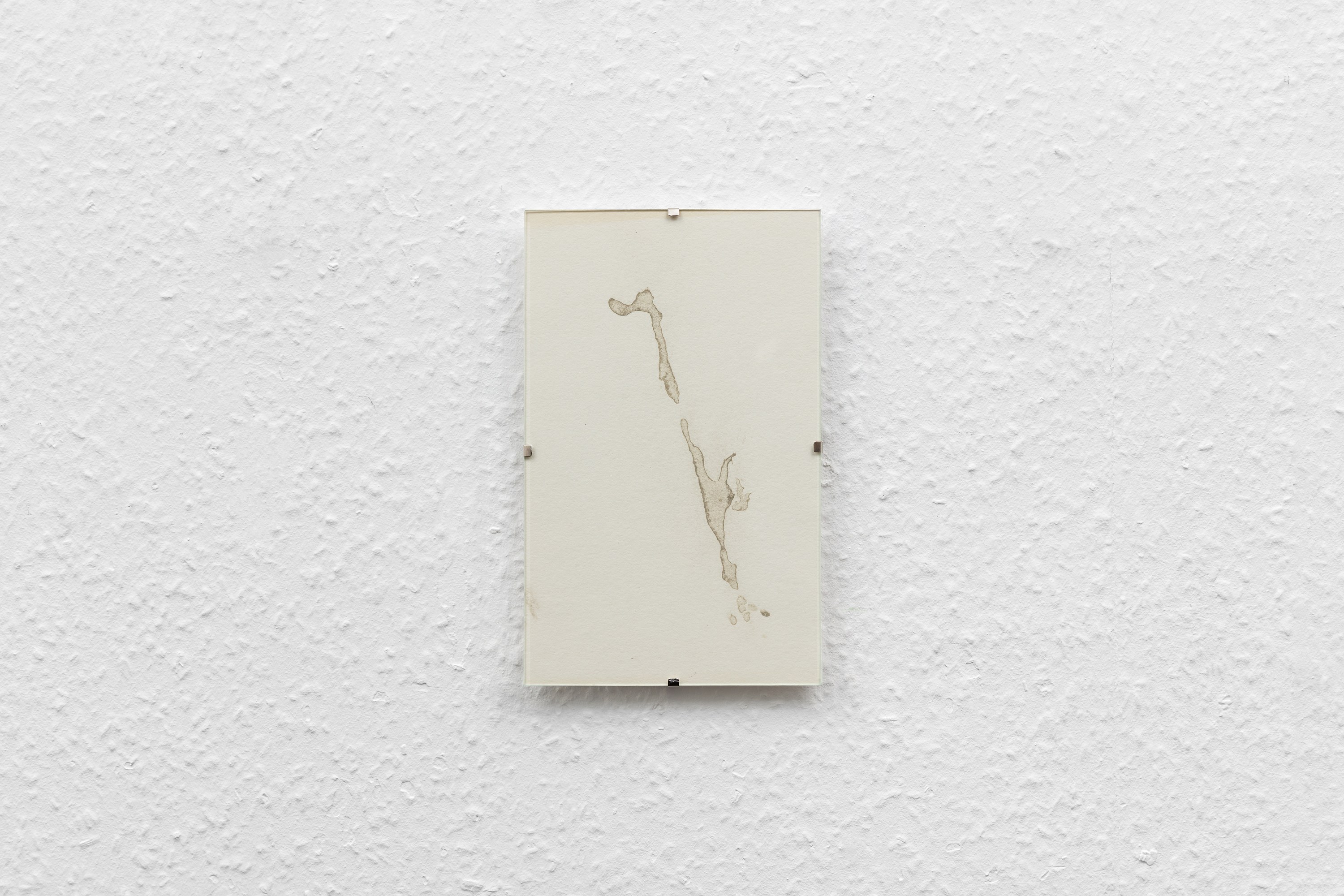 Mariam Abashidze, Milk Composition at A. Squire, photo 25
