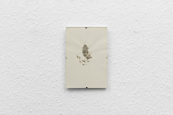 Image 24 of 25