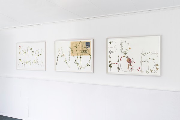 Image 4 of 41