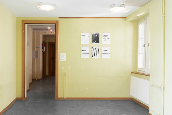 Image 12 of 41