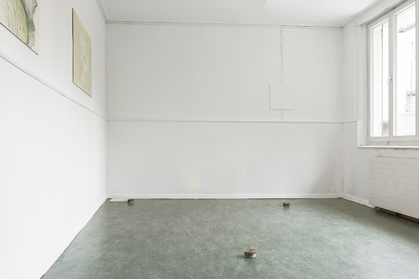 Image 5 of 19