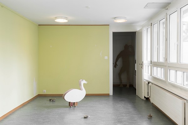Image 7 of 19