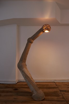 Image 4 of 14