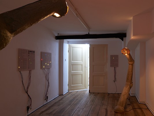 Image 7 of 14