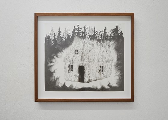 Image 8 of 17