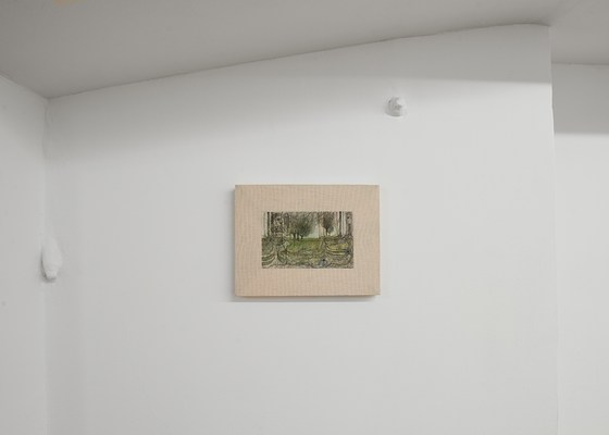 Image 6 of 17