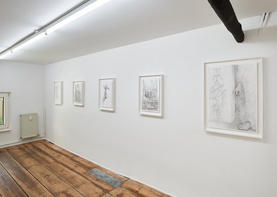 Image 3 of 14