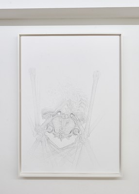 Image 14 of 14