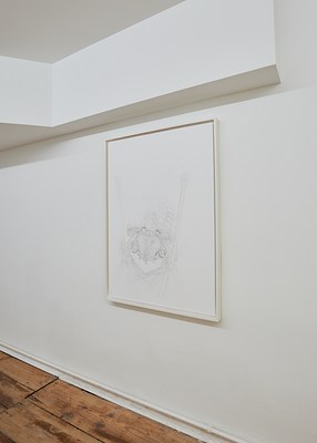 Image 5 of 14