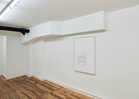 Image 6 of 14