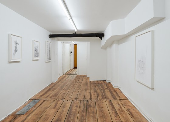 Image 8 of 14