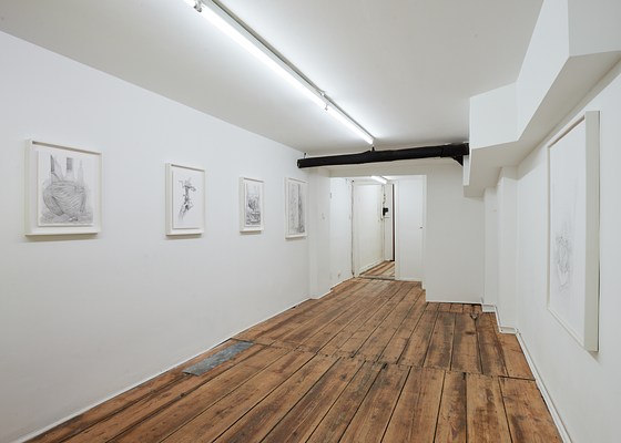 Image 7 of 14