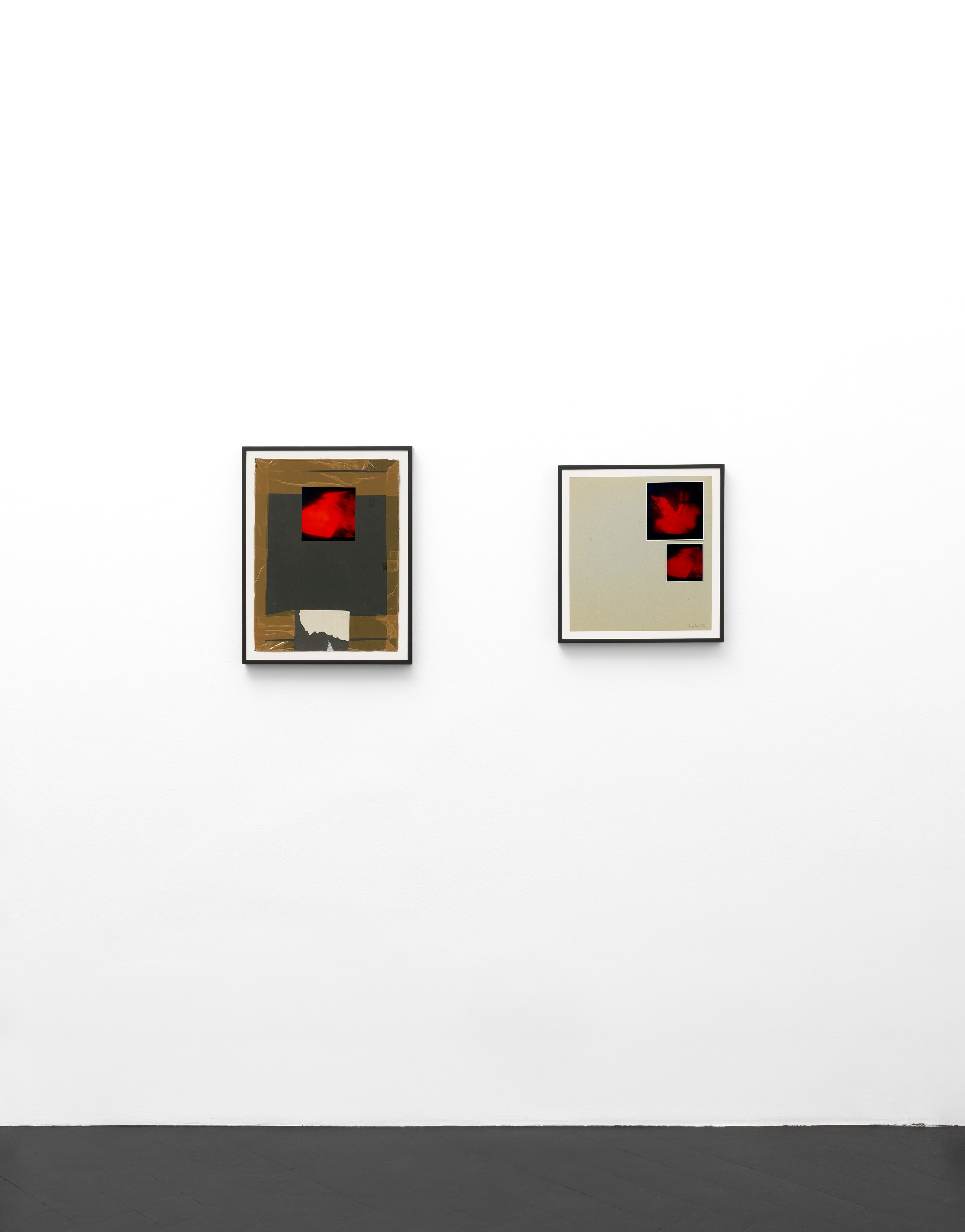 Richard Hawkins, Featuring 13 Flamboyant Fiends at Galerie Buchholz, Berlin, photo 10