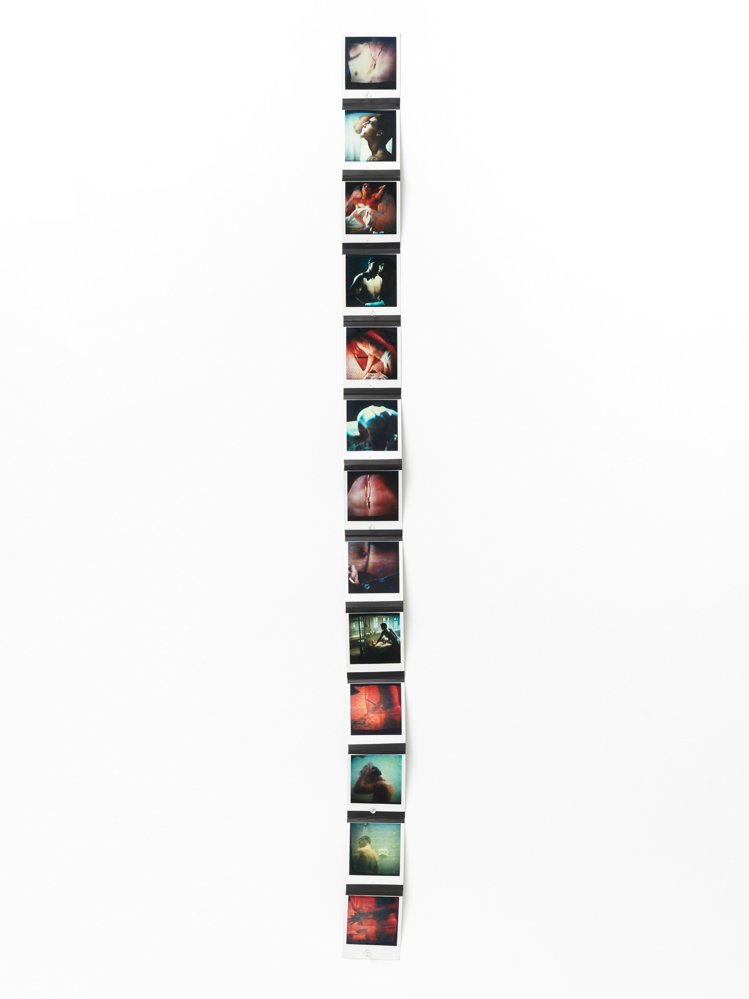 Richard Hawkins, Featuring 13 Flamboyant Fiends at Galerie Buchholz, Berlin, photo 21