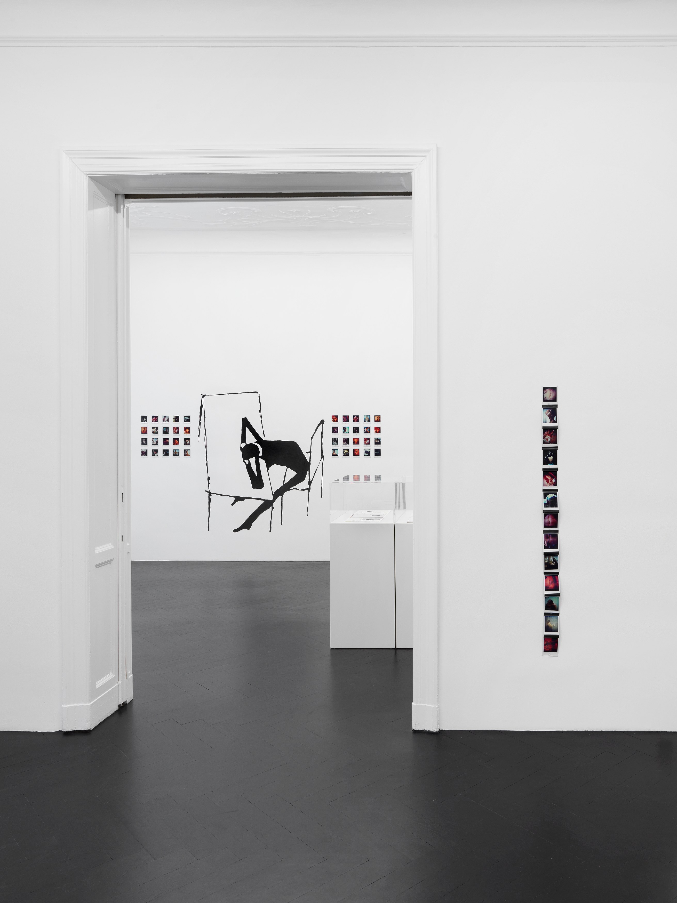 Richard Hawkins, Featuring 13 Flamboyant Fiends at Galerie Buchholz, Berlin, photo 20