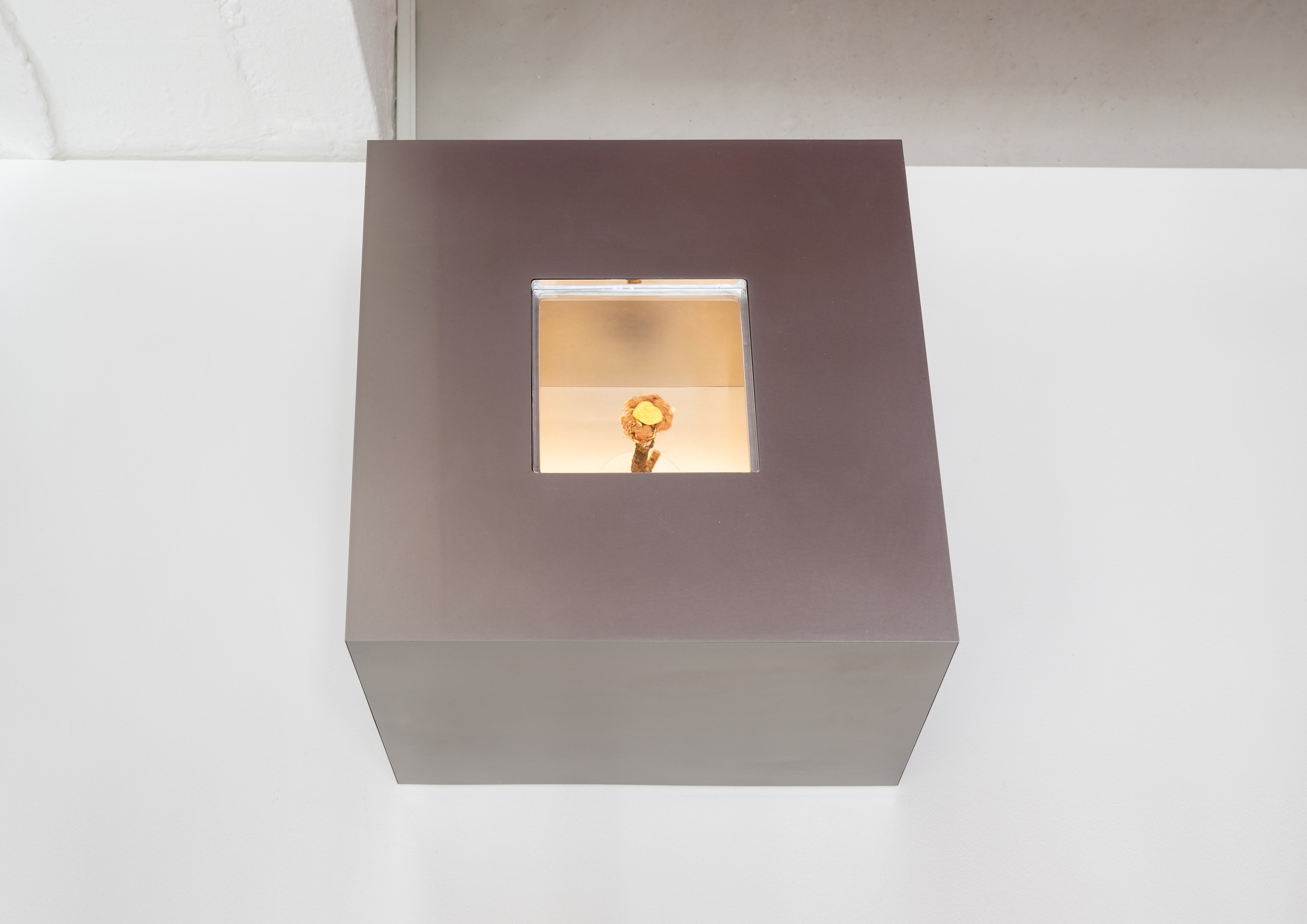 Antonio Társis, Storm in a teacup at Carlos/Ishikawa, photo 5