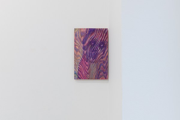 Image 12 of 23