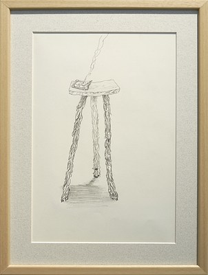 Image 17 of 25