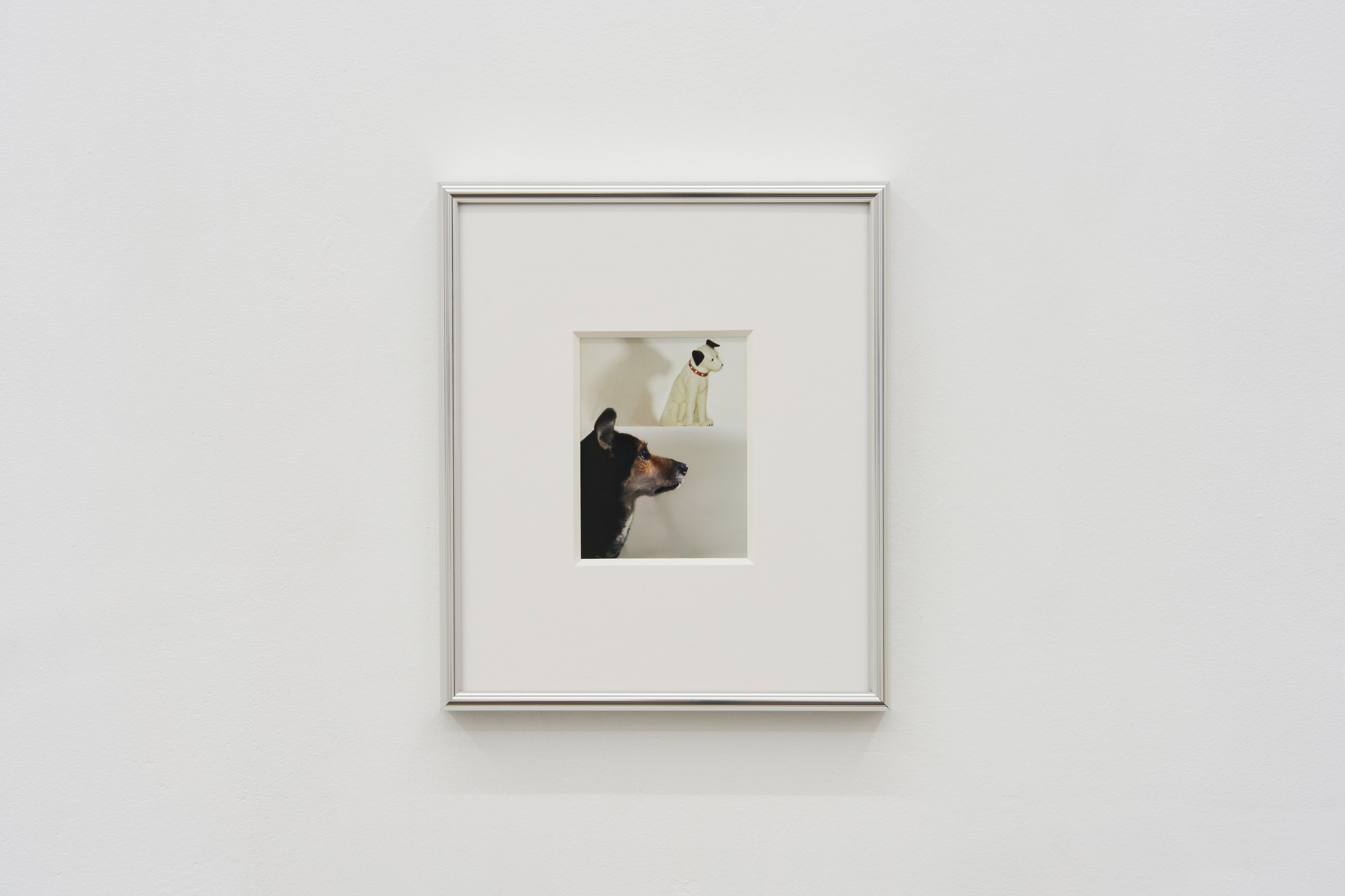 John Divola, Megan Plunkett, Home Again at Timeshare, photo 19
