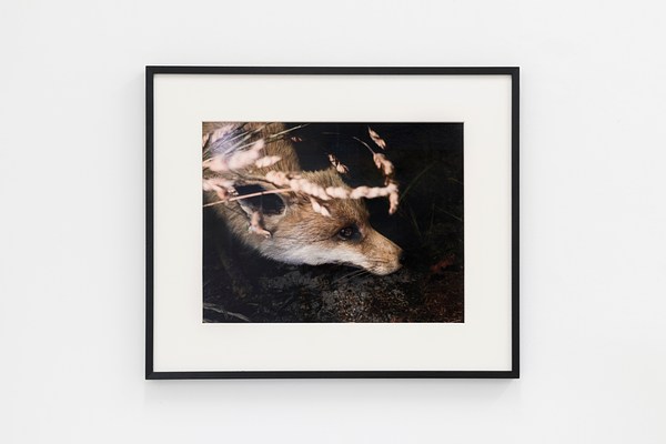 Image 13 of 30