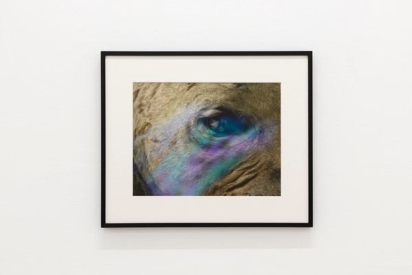 Image 14 of 30