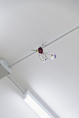 Image 21 of 30