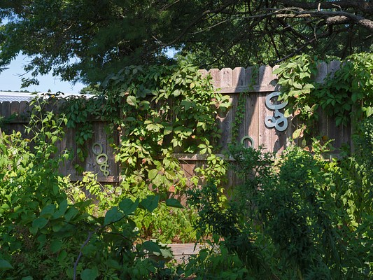 Image 20 of 21