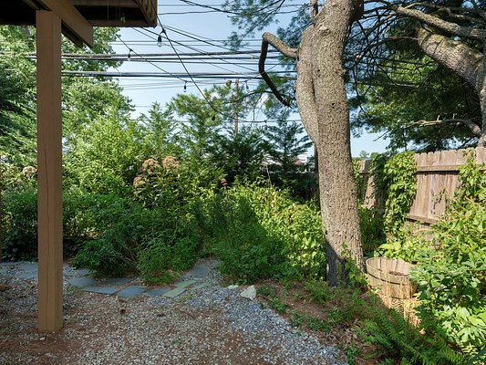 Image 19 of 21