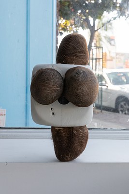 Image 24 of 37