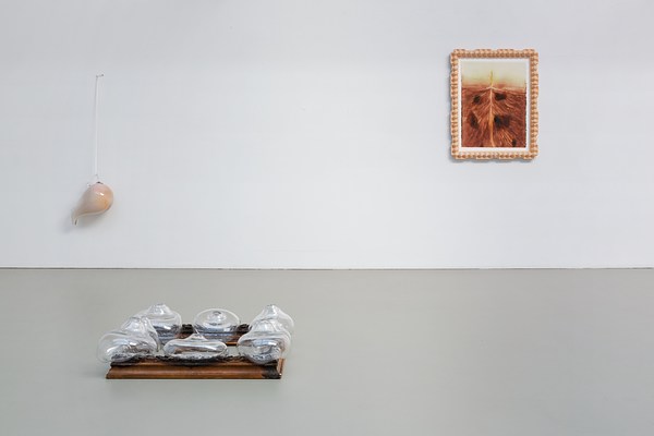 Image 4 of 38