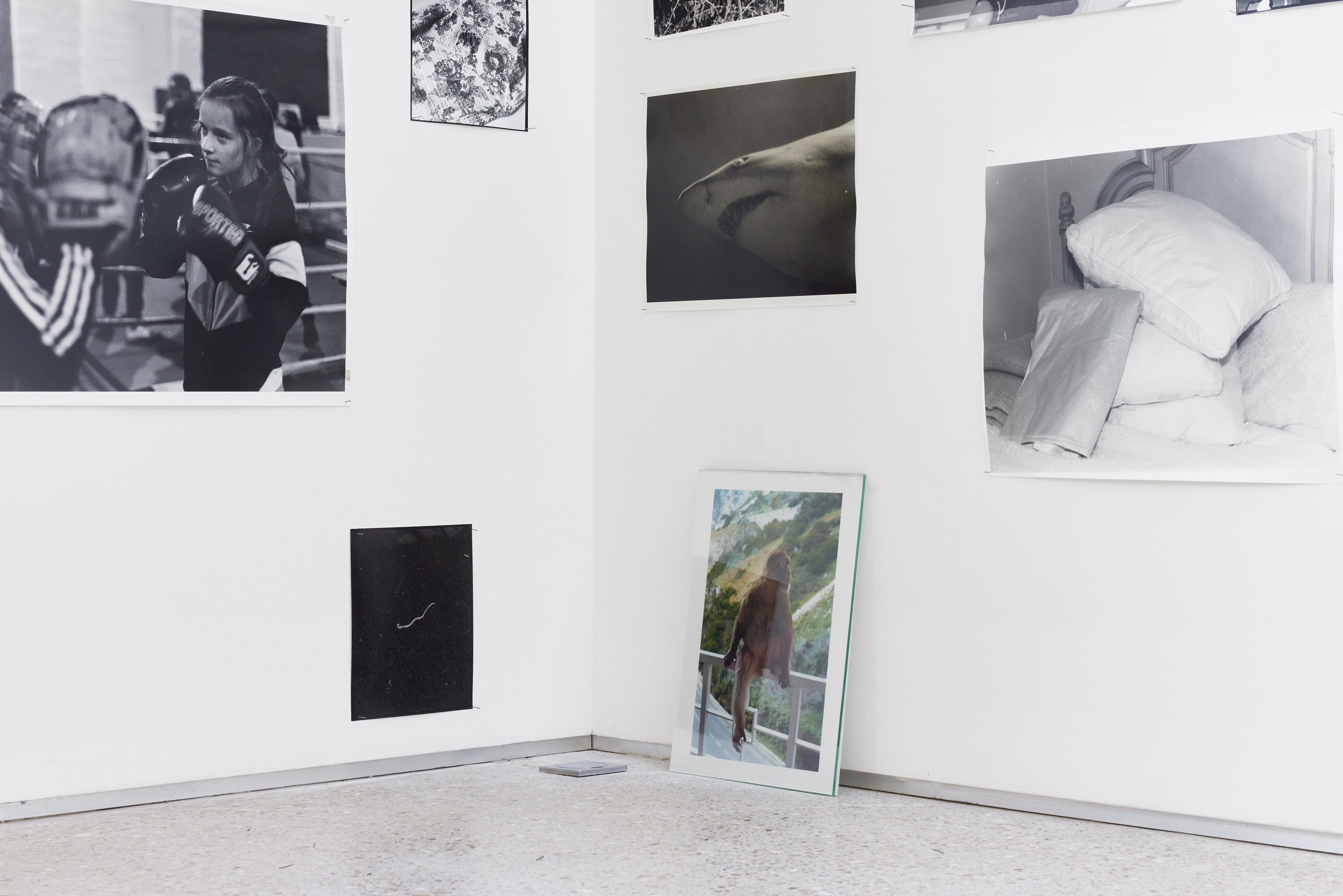 Bodily Powers, Bodily Powers at Tragic Venus, CELESTE | data center Marilyn, Champs-sur-Marne, photo 38