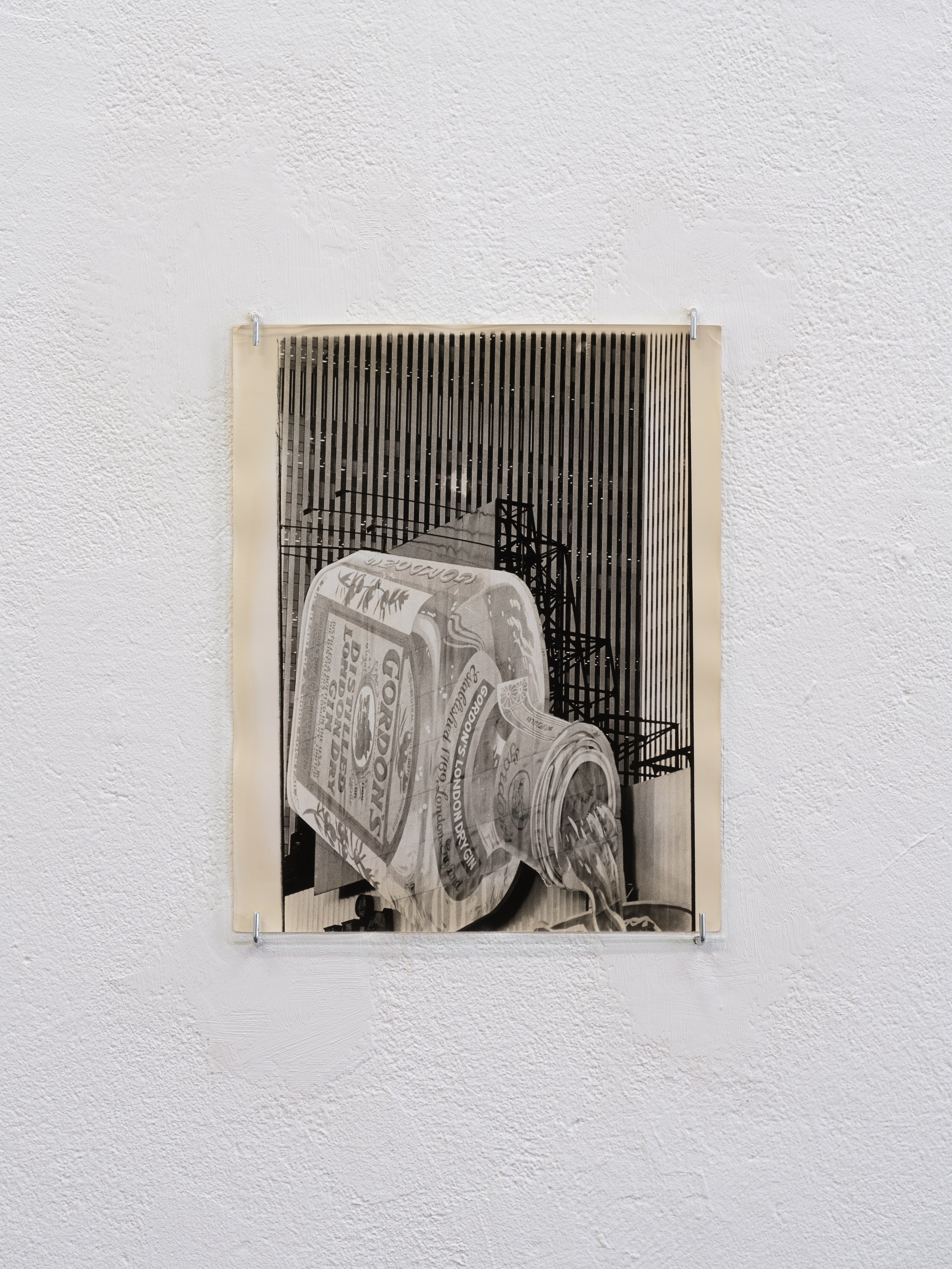 Bettina, Béla Feldberg, 1 Constant at Scheusal, photo 8